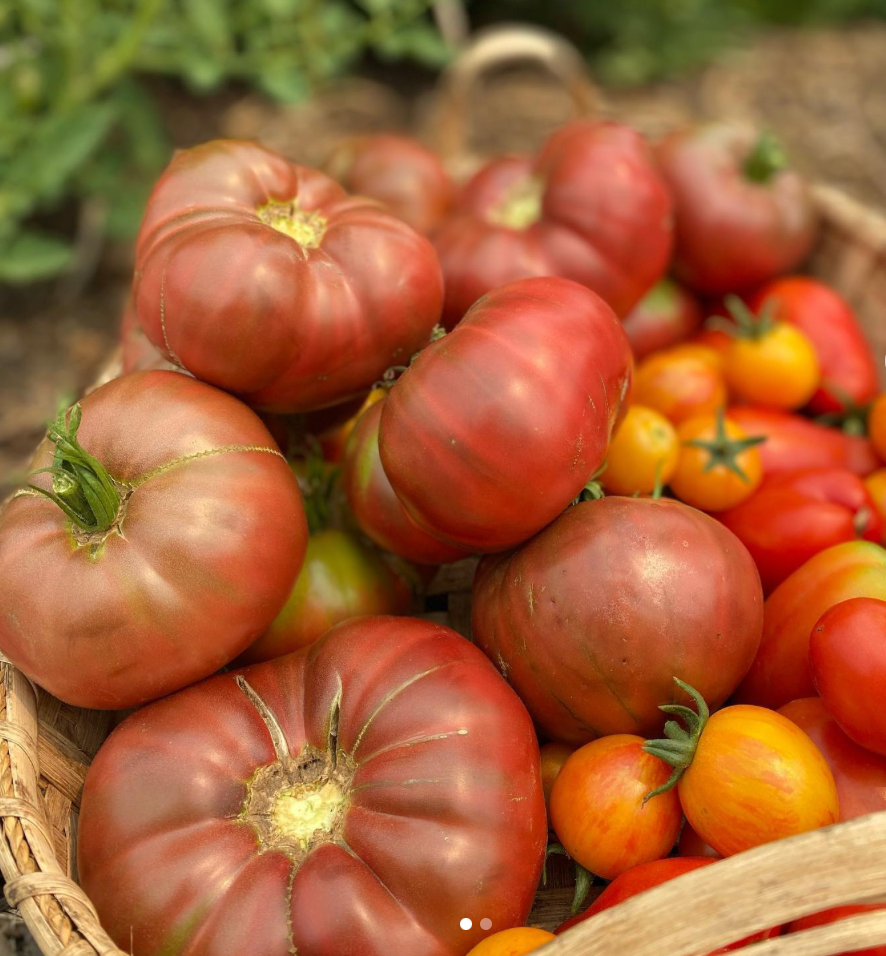 CSA Farm Share (Large)